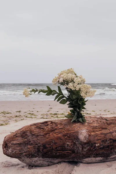 Bir Buket Kır Çiçeği Denizin Arka Planındaki Kahverengi Bir Kütüğe — Stok fotoğraf