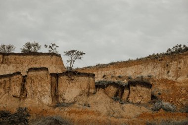 Gökyüzüne karşı ağaçlar ve çalılarla sarp toprak kıyısı
