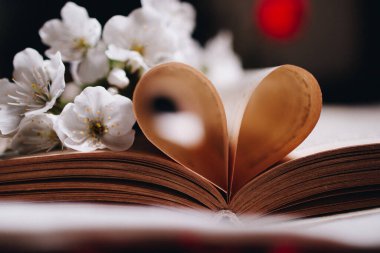 Kapalı kitap ve çiçekler.