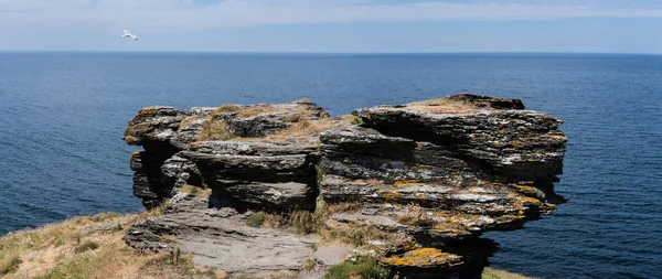 National Trust Glebe Cliff Tintagel Cornovaglia Inghilterra — Foto Stock