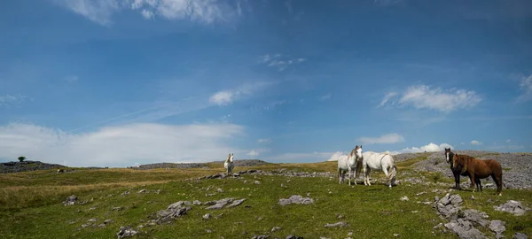 Panorama Brecon Beacons National Park Wales — Stock Photo, Image