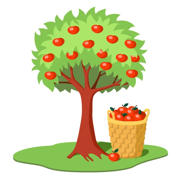 Kreskówkowe Kolorowe Jabłoń Czerwonymi Jabłkami Koszem Pełnym Jabłek Pod Spodem — Wektor stockowy