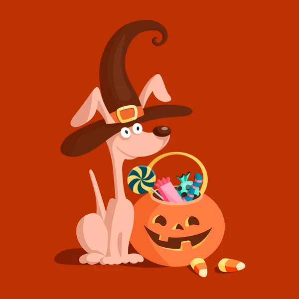 Cute Dog Witch Costume Pumpkin Halloween Sweets Cartoon Vector Illustration — Stock Vector