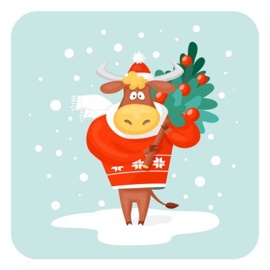 Tatlı bir boğa. 2021 yılının sembolü. Örgü süveter ve şapkayla elinde bir Noel ağacı tutuyor. Çizgi film vektör illüstrasyonu veya tebrik kartı.