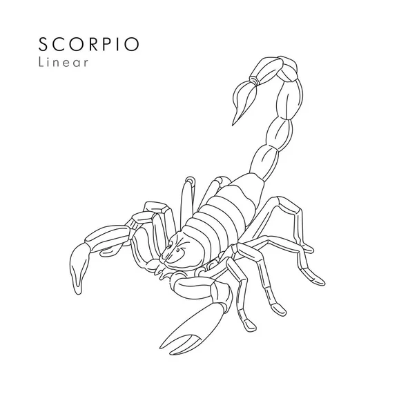 Scorpion Ilustracja Liniowa Szkic Tatuaż Zarys Graficzny — Wektor stockowy