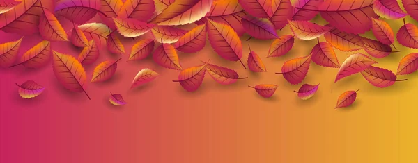 Vector achtergrond van vallende herfstbladeren, gestileerde digitale achtergrond, herfstblad vallen met lege plaats voor uw tekst — Stockvector