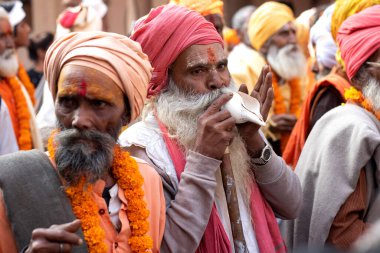 Pushkar, Rajasthan / Hindistan. 06 / 11 / 2019. Eski Sadhus 'un Kızılderili Grubu Tilak Alnında ve Sankh' ı Sadhus Rallisi 'nde Yol' da Esiyor