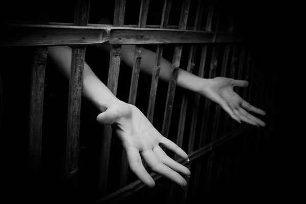 Female Hands Cage Cell Trafficking Concept — Stock Photo, Image
