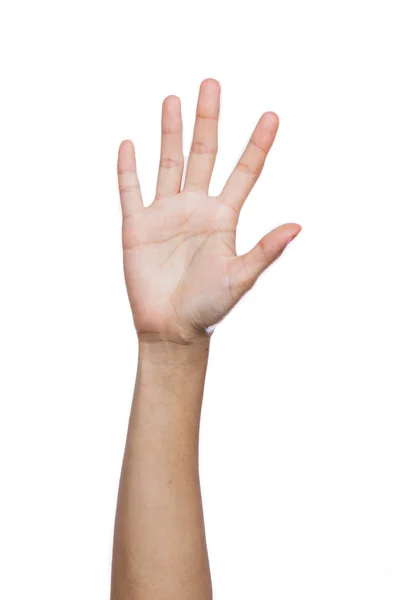 Mâna Umană Cinci Degete — Fotografie, imagine de stoc
