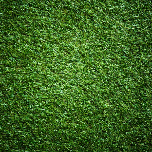 Тло Зеленої Трави — стокове фото