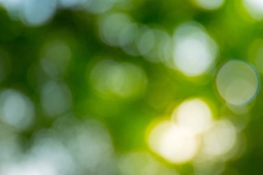 Bokeh ile soyut doğa arka plan