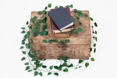 asma arka plan ile ahşap bir kutu üzerinde kitaplar