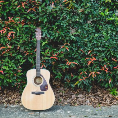 Vintage gitar doğa çit ile