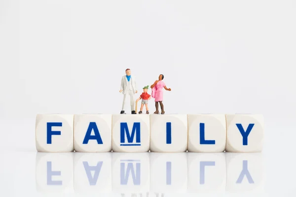 Miniature family with family word in a background — Stock Photo, Image