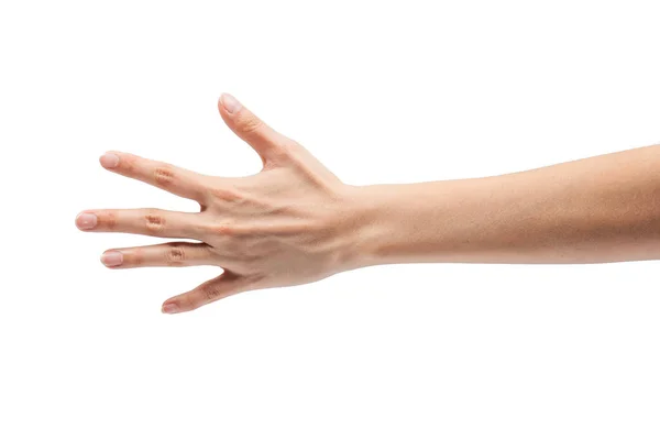 Female hand isolated on white background — Stock Photo, Image