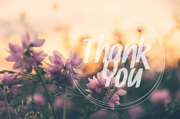Happy Mandag ord på sløret blomst med vintage filter baggrund - Stock-foto