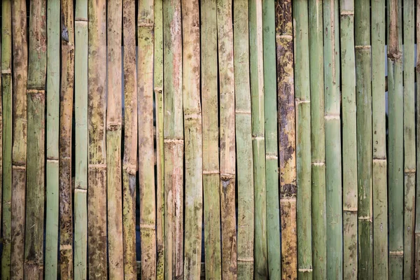 bamboo fence using for a background.