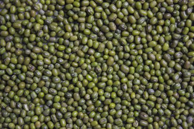 arkaplan olarak kullanılan yeşil fasulye dokusu