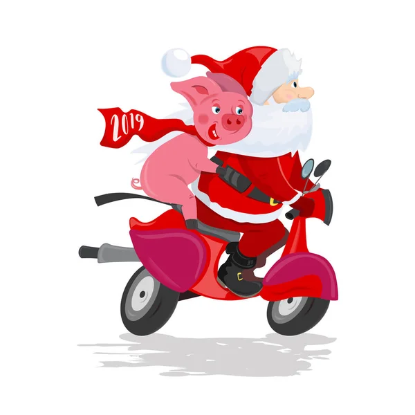 Papai Noel e porco em uma scooter vermelha — Vetor de Stock