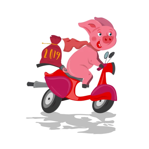 Lustige rosa Schweinefahrer auf einem roten schnellen Fahrrad-Roller mit Weihnachtstasche — Stockvektor