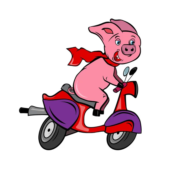 Drôle de cavalier de porc rose sur un scooter vélo rapide rouge — Image vectorielle
