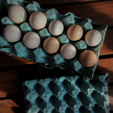 Yeni bırakılmış organik yumurtalarla dolu tepsi.