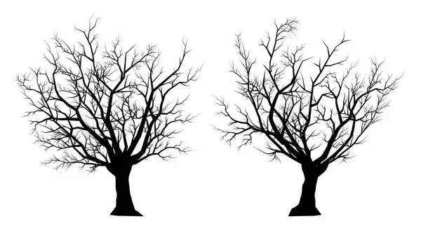 Silhouette Dead Tree White Background — Stock Vector