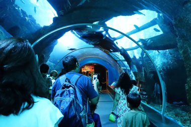Singapur - 14 Ekim 2018: S.E.A akvaryum, Singapur, kimliği belirsiz ziyaretçi. Habitatları çeşitli deniz yaşamının 800 türe sahip Asya'nın en büyük akvaryumu olduğunu.