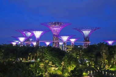 Singapur - 14 Ekim 2018: Körfez Singapur Garden şaşırtıcı aydınlatma görünümünü.