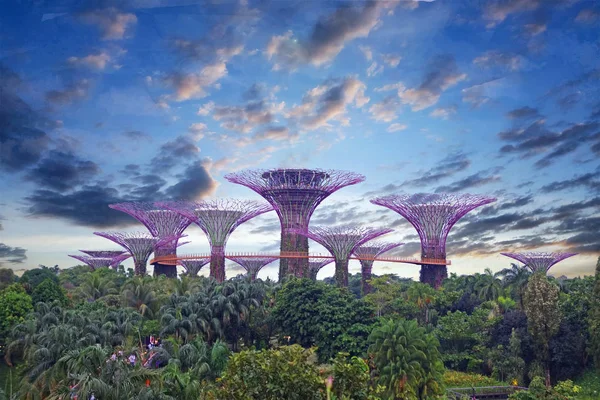 Singapore Oktober 2018 Blick Auf Die Erstaunliche Illumination Garten Der — Stockfoto