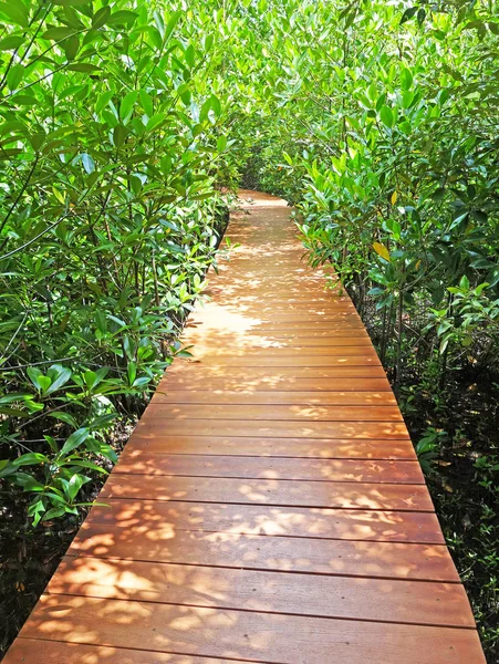 Een Houten Walkpath Door Mangrove Bos Gelegen Provincie Chanthaburi Thailand — Stockfoto