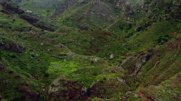 Вид Воздуха Национальный Парк Сельская Местность Анага Тенерифе — стоковое видео