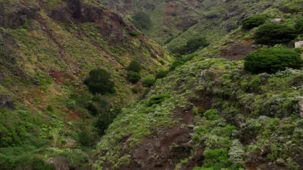 Vista Aérea Del Parque Nacional Rural Anaga Tenerife — Vídeos de Stock