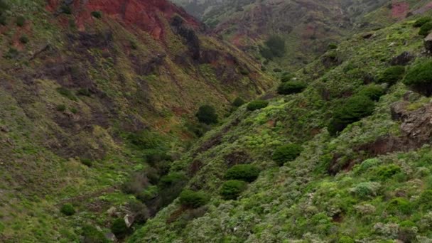 Luchtfoto Van Landelijke Anaga Nationaal Park Tenerife — Stockvideo
