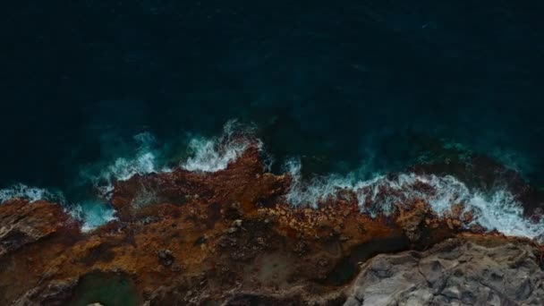 特内里费岛大西洋海岸线鸟图 — 图库视频影像