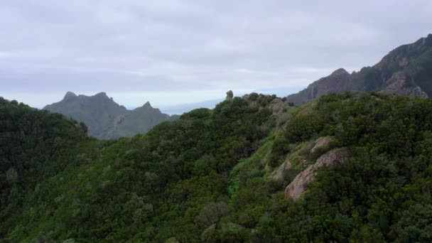 Вид Воздуха Национальный Парк Сельская Местность Анага Тенерифе — стоковое видео