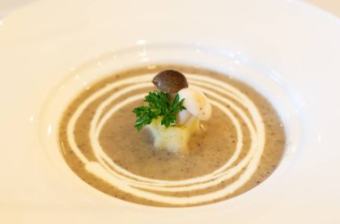 Mantar çorbası. Iştah açıcı beyaz bir tabakta sağlıklı atıştırmalık.