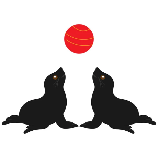 Zeehonden Spelen Rode Bal Geïsoleerd Witte Achtergrond — Stockfoto