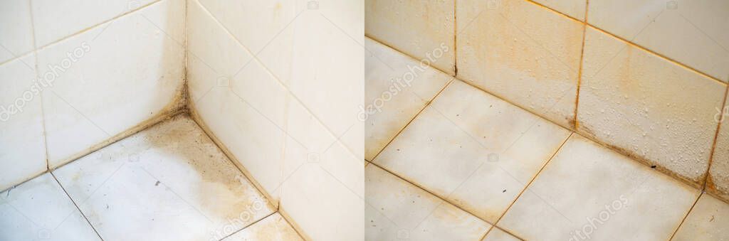 Stains on joints, corners, and surfaces of bathroom tiles. Source of the pathogen.