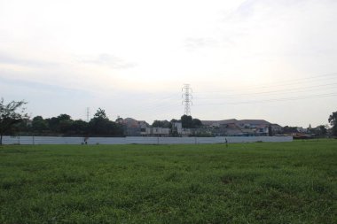 Endonezya 'daki pirinç tarlalarında yeşil çayırlar