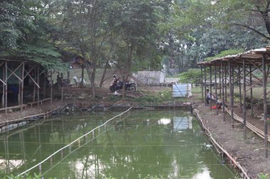 Jakarta 'daki balık havuzunda ziyaretçi yok.