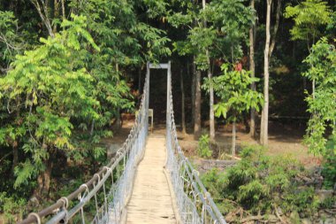 Batı Java 'da ormanın etrafında uzun bir köprü