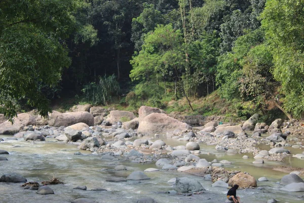 印度尼西亚西爪哇河中的大石头 — 图库照片