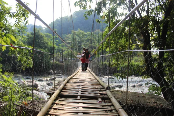 Lungo Ponte Intorno Alla Foresta West Java — Foto Stock