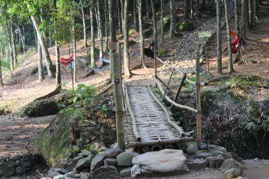 Batı Java 'da ormanın etrafında uzun bir köprü