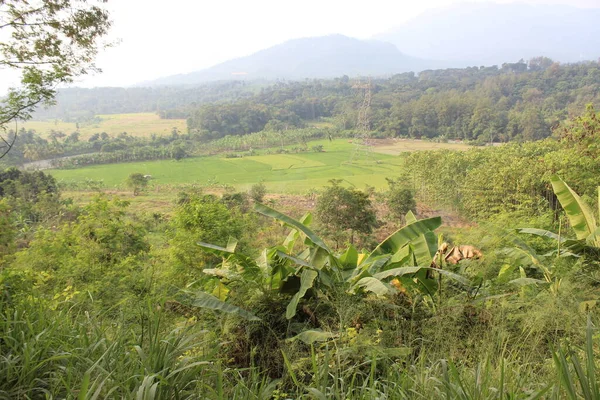 Het Uitzicht Vanaf Top Van Bergen West Java — Stockfoto