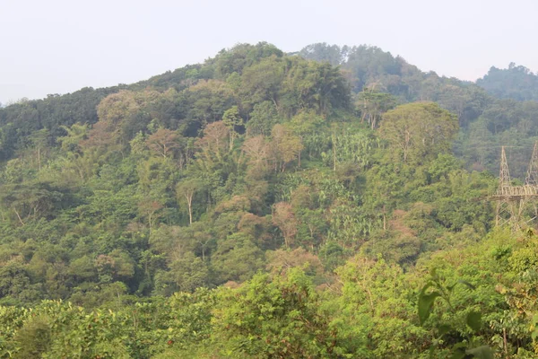Vista Dalla Cima Delle Montagne West Java — Foto Stock