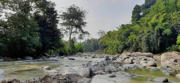 インドネシアの西ジャワ州の川の大きな石 — ストック写真