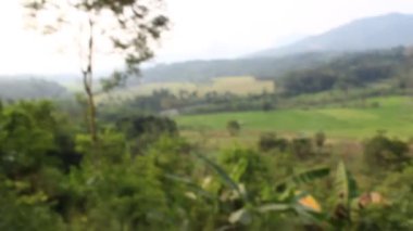 Batı Java 'daki dağların tepesinden manzara.