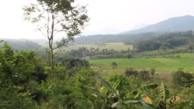 Batı Java 'daki dağların tepesinden manzara.